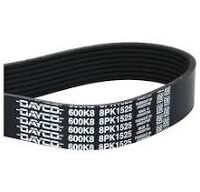 8pk1552 V-Ribbed Belt COMPATIBLE FOR EICHER MOTORS E494 LMD 3.9L DIESEL ALT